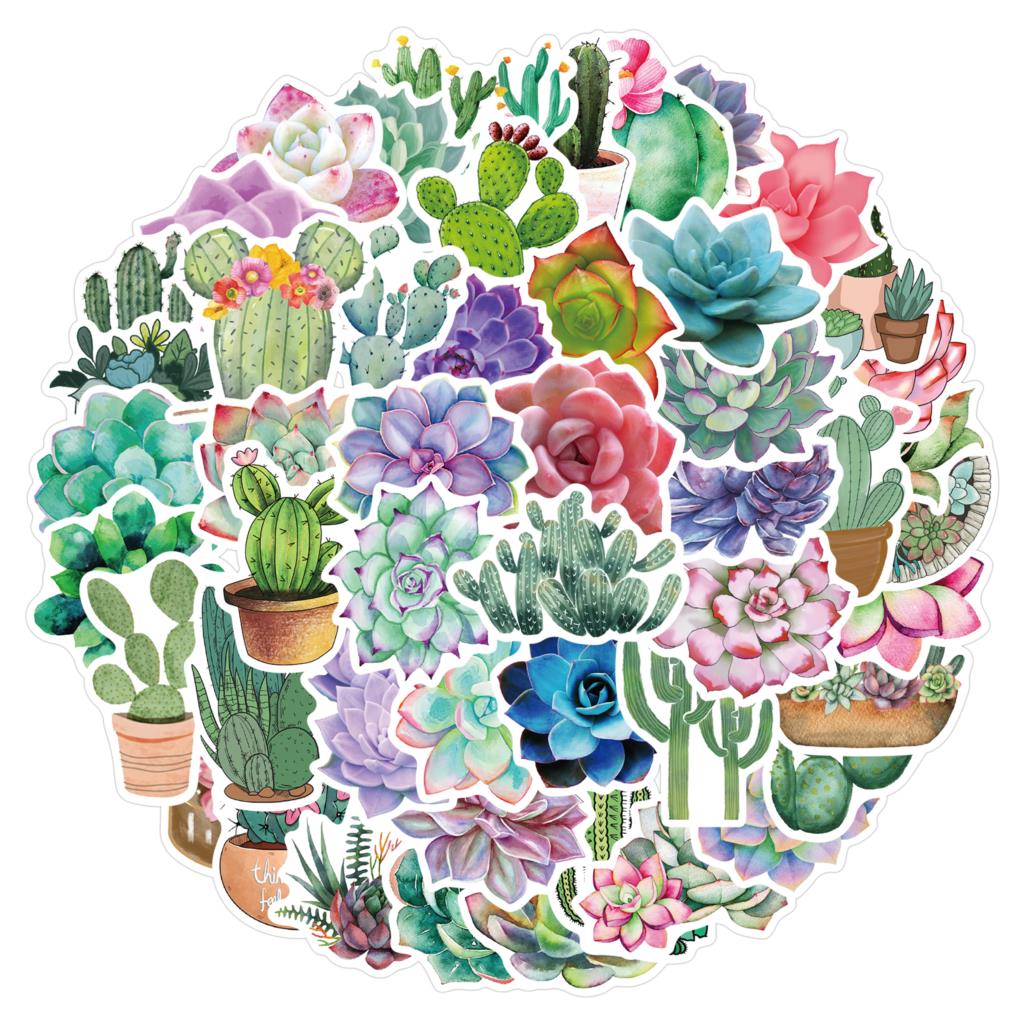 50PCS Succulent Stickers For L - Laptop Accessories Girly recension och pris