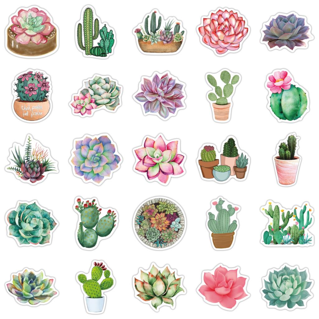 50PCS Succulent Stickers For L - Laptop Accessories Girly recension och pris