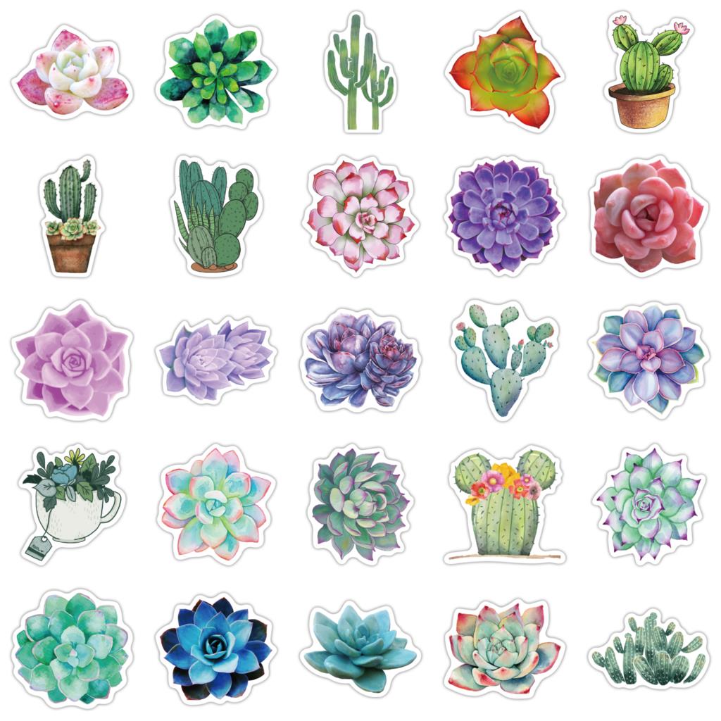 50PCS Succulent Stickers For L - Laptop Accessories Girly recension och pris