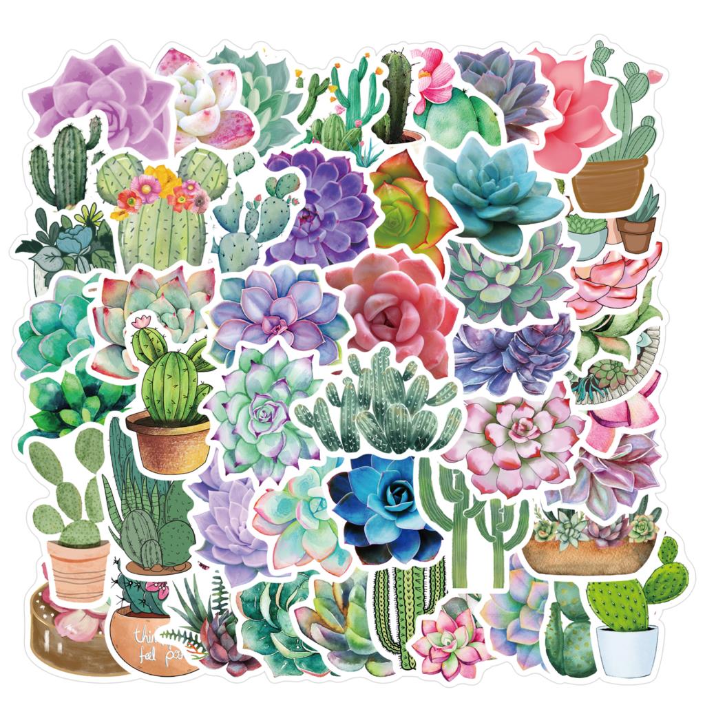 50PCS Succulent Stickers For L - Laptop Accessories Girly recension och pris
